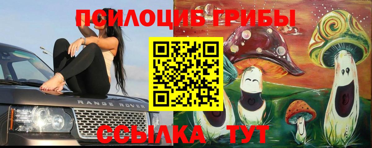 Псилоцибиновые грибы прущие грибы  Вход с VPN  Алексеевка 